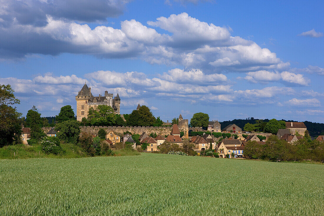 France, Aquitaine, Dordogne, Montfort castle