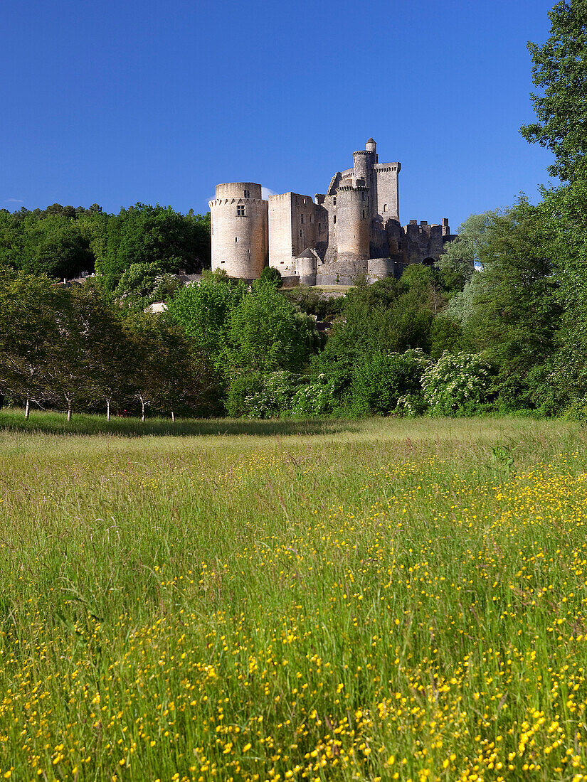 France, Aquitaine, Lot et Garonne, Bonaguil castle
