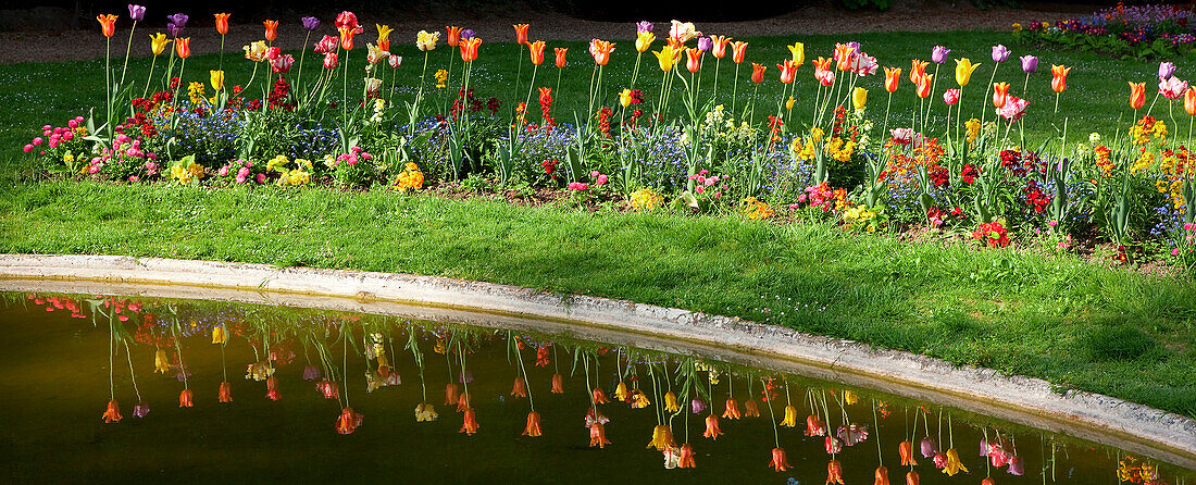 Flowerbed in a park