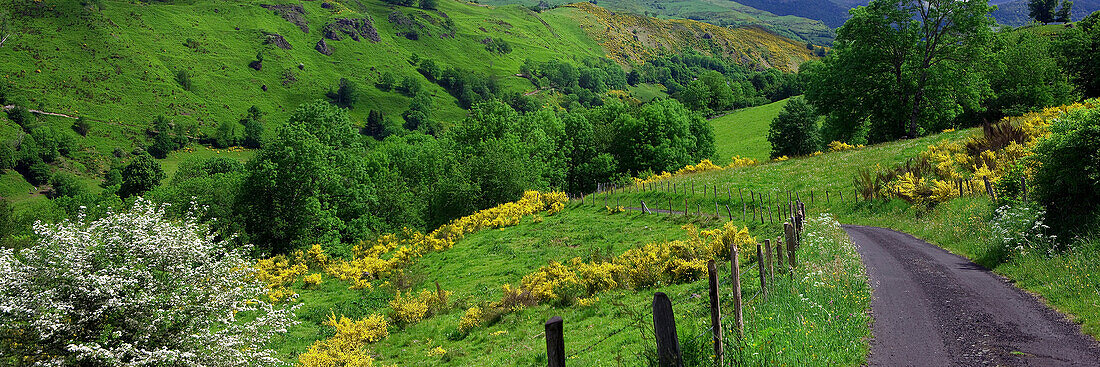 France, Auvergne, Cantal, St Projet valley