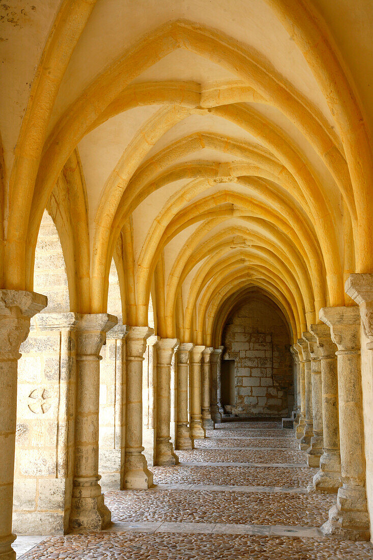 France, Aquitaine (Perigord), Dordogne, Perigueux, Saint Front cathedral cloister (Unesco world heritage)