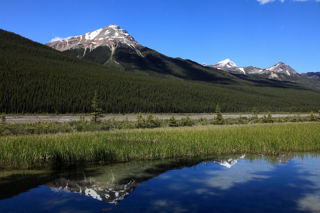 Canada, Alberta, Jasper National Park, Sunwapta River, Winston Churchill Range