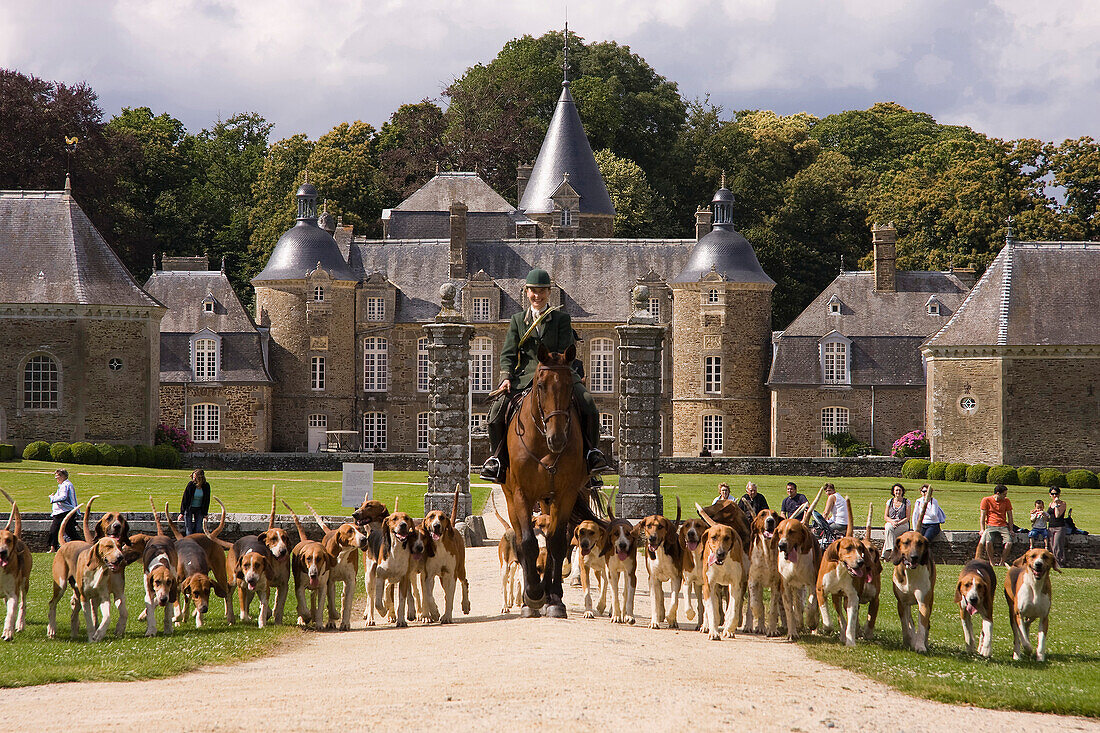 France, Brittany, Pleugueneuc zoo, pack of hounds