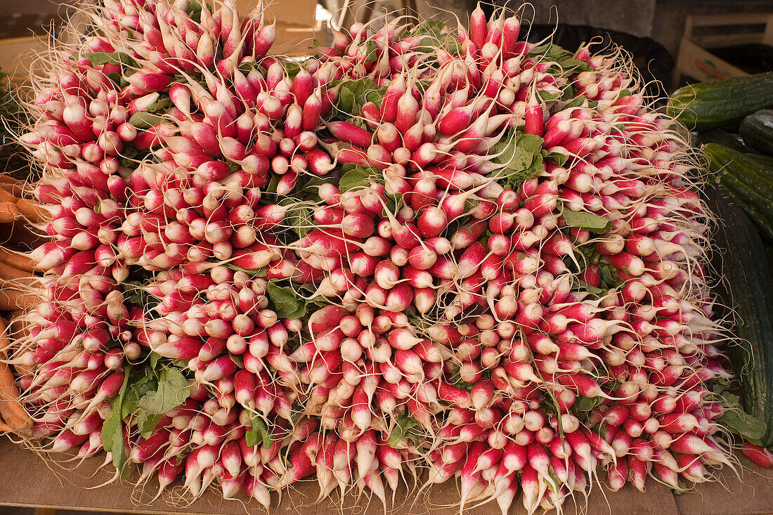 Bunches of radishes