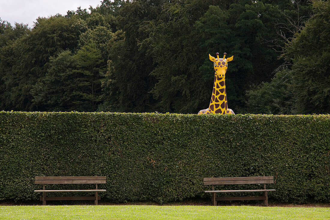 France, Brittany, Pleugueneuc zoo, inflatable girafe