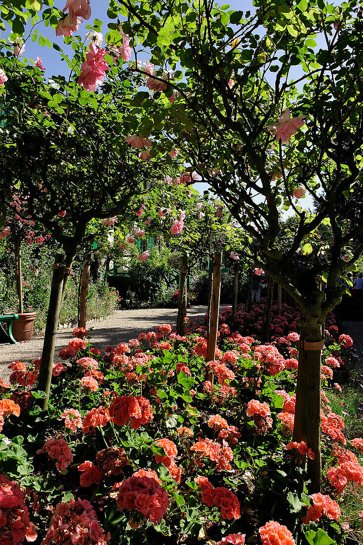 France, Normandy, Eure, Giverny, Claude Monet's house and garden