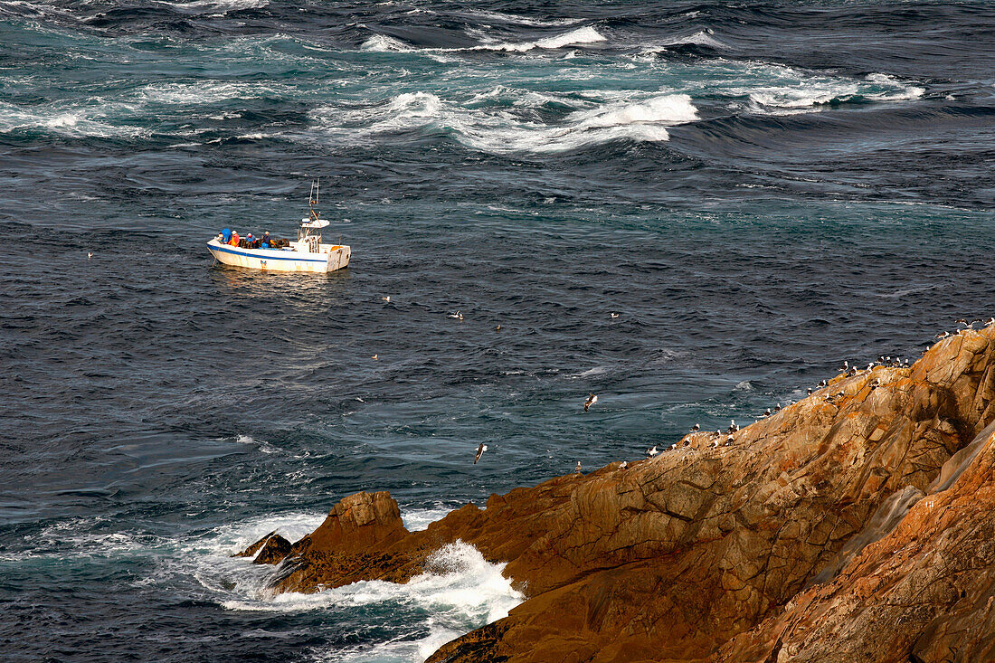 France, Brittany, Finistere (29), Plogoff, Pointe du Raz