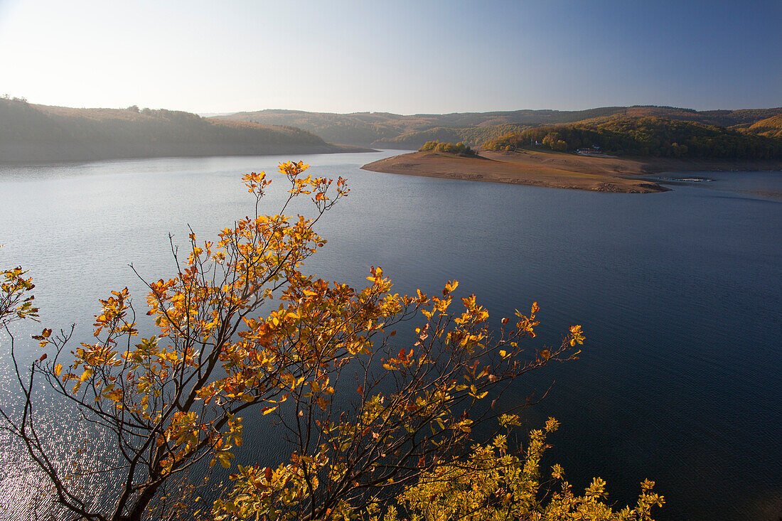 Blick über den Rurstausee im Herbst, Nationalpark Eifel, Nordrhein-Westfalen, Deutschland, Europa