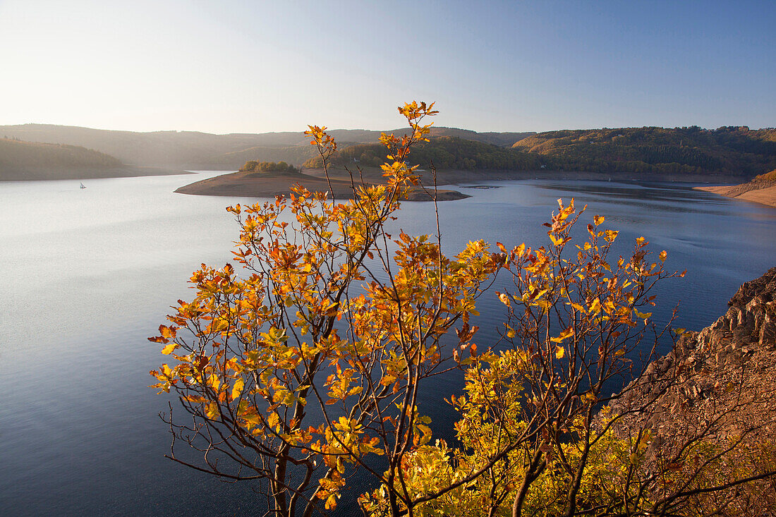 Blick über den Rurstausee im Herbst, Nationalpark Eifel, Nordrhein-Westfalen, Deutschland, Europa