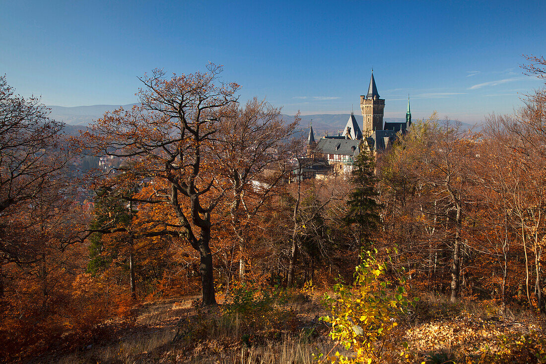 Blick zum Schloss im Sonnenlicht, Wernigerode, Harz, Sachsen-Anhalt, Deutschland, Europa