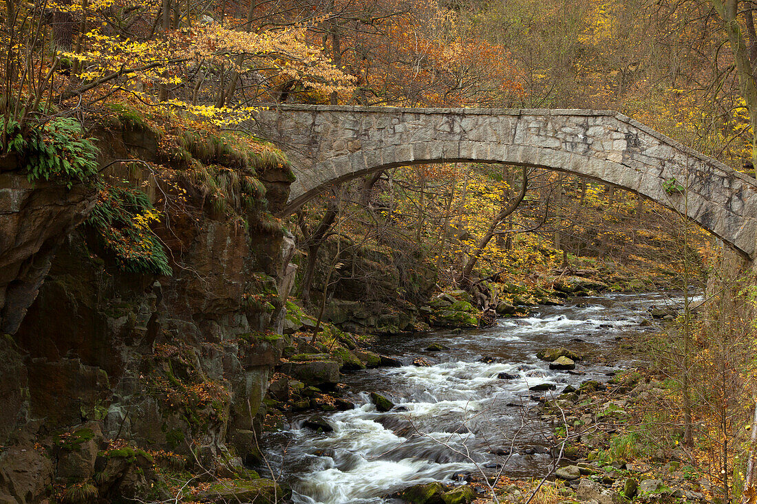 Bridge Jungfernbruecke at Bode valley, near Thale, Harz mountains, Saxony-Anhalt, Germany, Europe