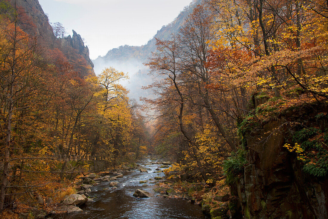 Nebel im Bodetal, bei Thale, Harz, Sachsen-Anhalt, Deutschland, Europa