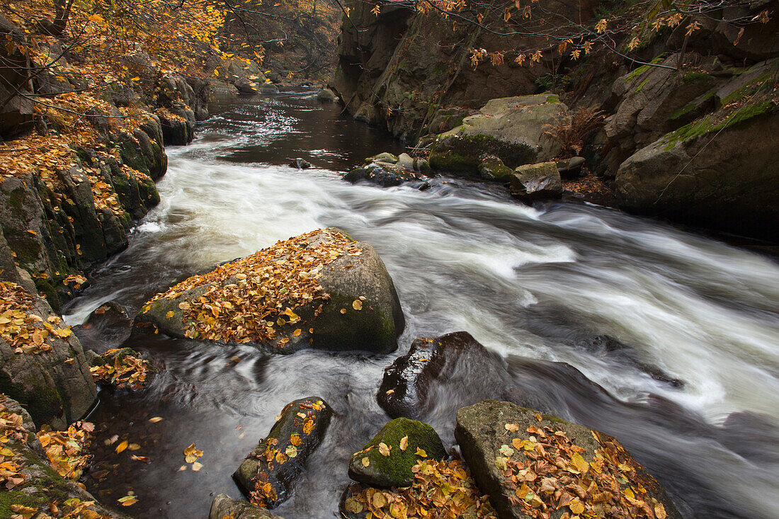 Blick von oben auf Stromschnellen im Bodetal, bei Thale, Harz, Sachsen-Anhalt, Deutschland, Europa