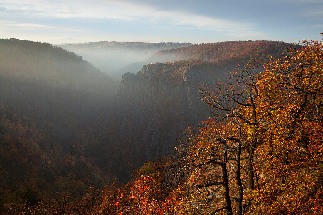 Blick vom Hexentanzplatz über das Bodetal zur Rosstrappe, bei Thale, Harz, Sachsen-Anhalt, Deutschland, Europa