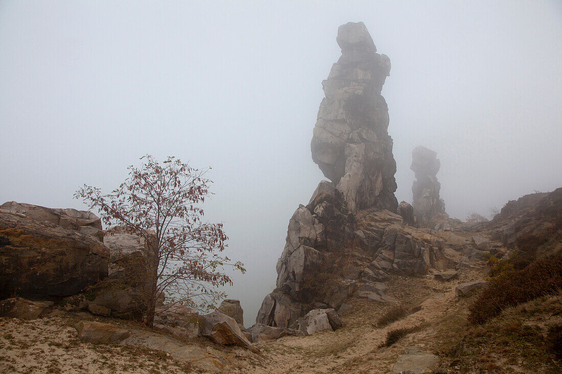 Teufelsmauer im Nebel, bei Thale, Harz, Sachsen-Anhalt, Deutschland, Europa