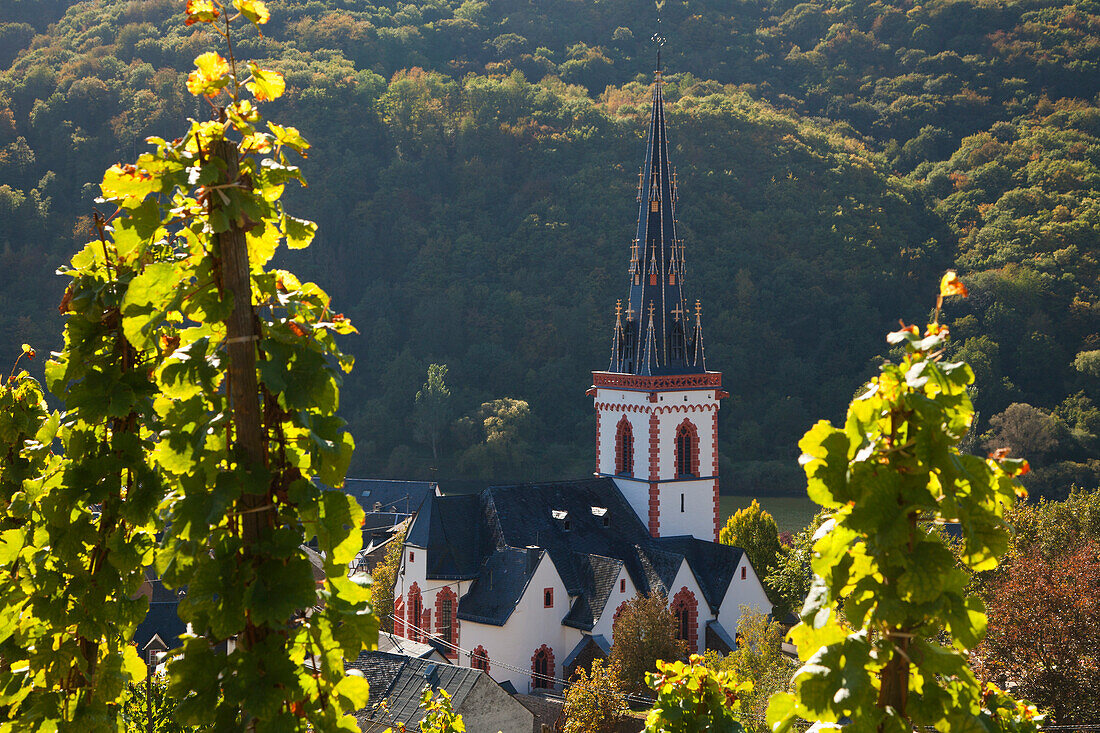 View from the vineyards onto the steeple of St Martin church, Ediger-Eller, Rhineland-Palatinate, Germany, Europe