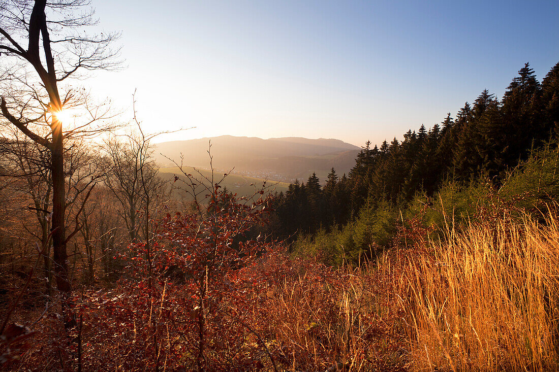 Autumnal mountain landscape at Rothaarsteig hiking trail, Rothaargebirge, Sauerland, North Rhine-Westphalia, Germany, Europe