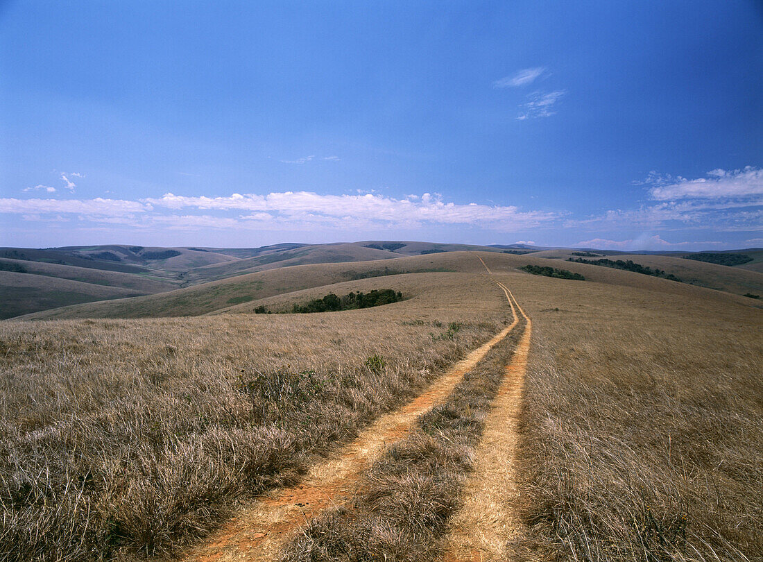 Track through the grasslands of the Nyika Plateau, Malawi