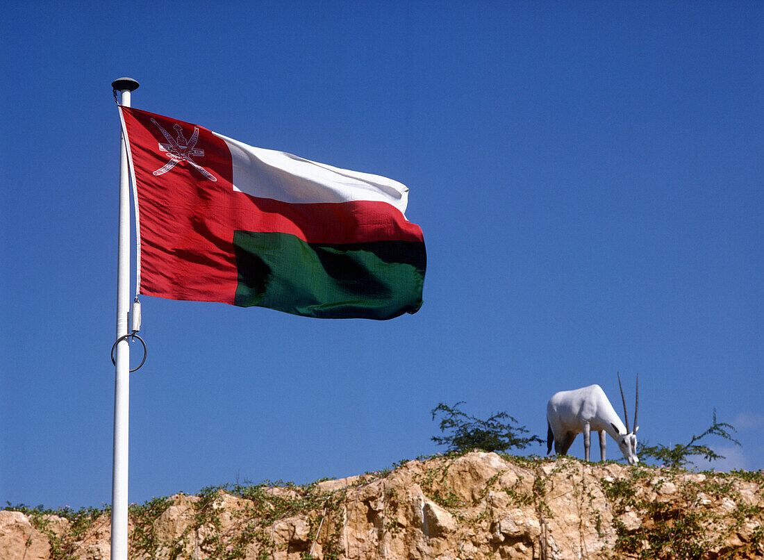 Flag of Oman and goat on hill, Oman