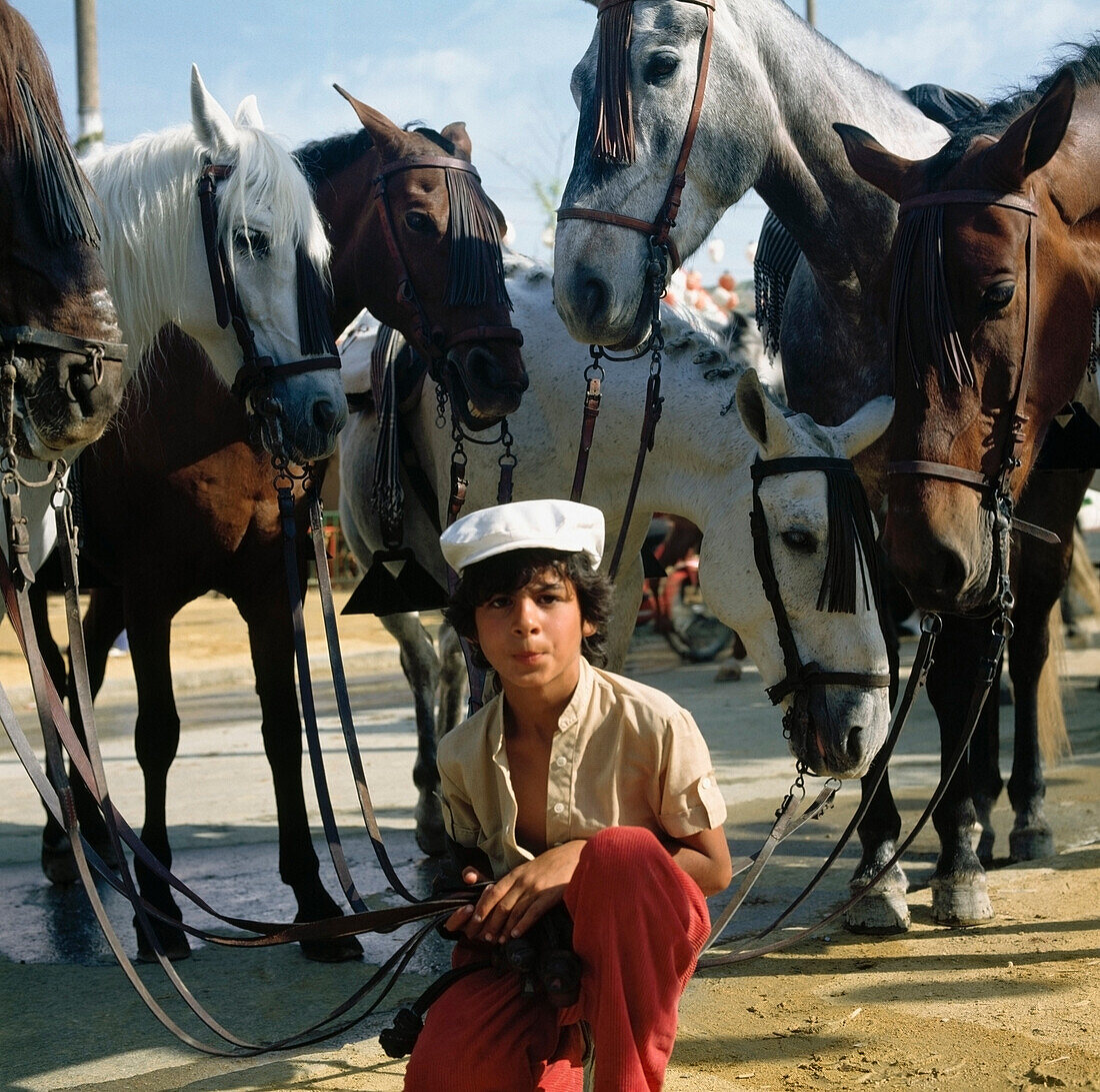 Boy and horses during Feria, Seville, Spain