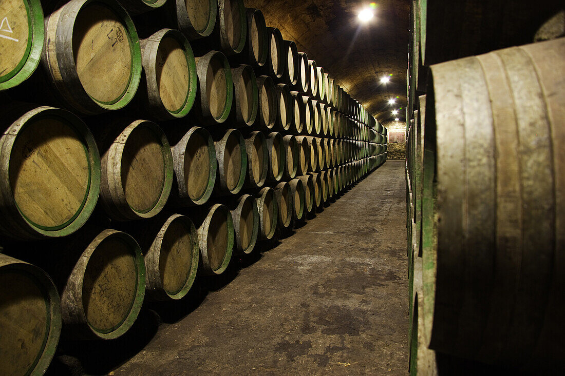 Barrels in wine celler, La Rioja, Spain