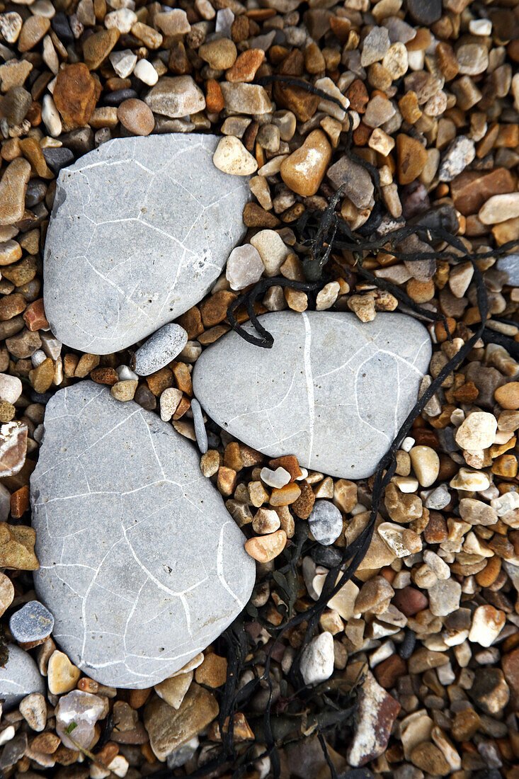 Stones on beach of Jurassic Coast, England, United Kingdom, Europe