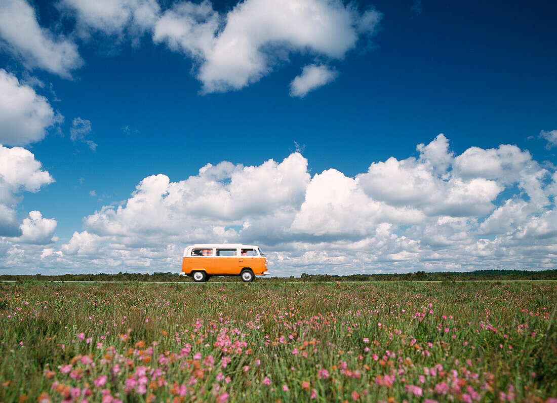 Campervan going down road in front of heather in flower, New Forest, Hampshire, England