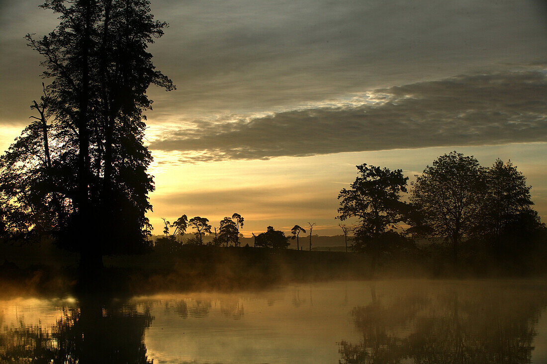 Summer sunrise on a small pond in the country, Kent, England