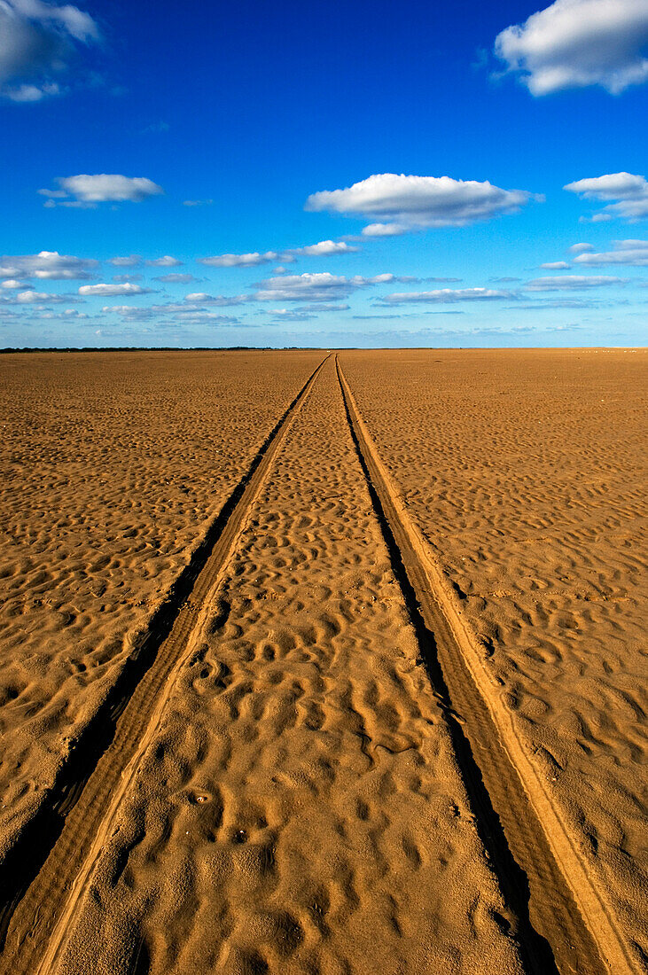 Car tracks on a deserted sandy beach, Lincolnshire, England, United Kingdom.
