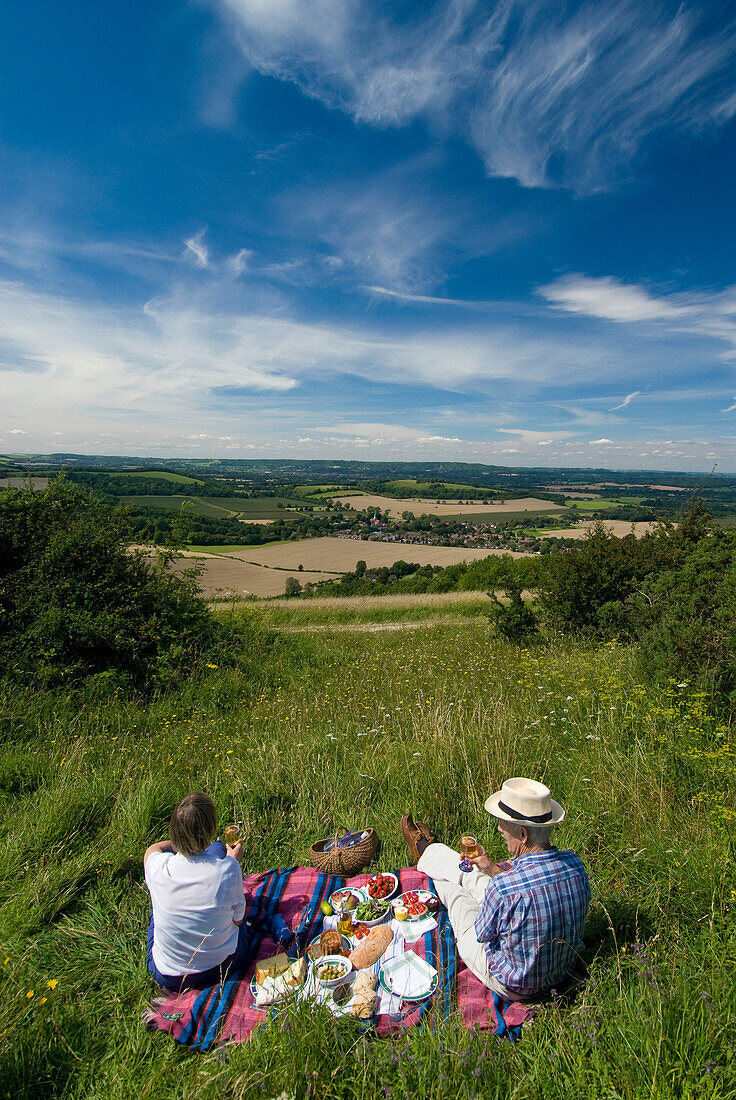 Couple having picnic in meadow on the South Downs, High Angle View, West Sussex, England