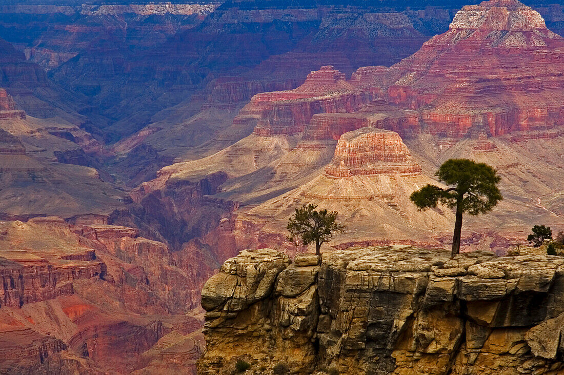 South Rim of Grand Canyon, elevated view, Grand Canyon National Park, Arizona, USA