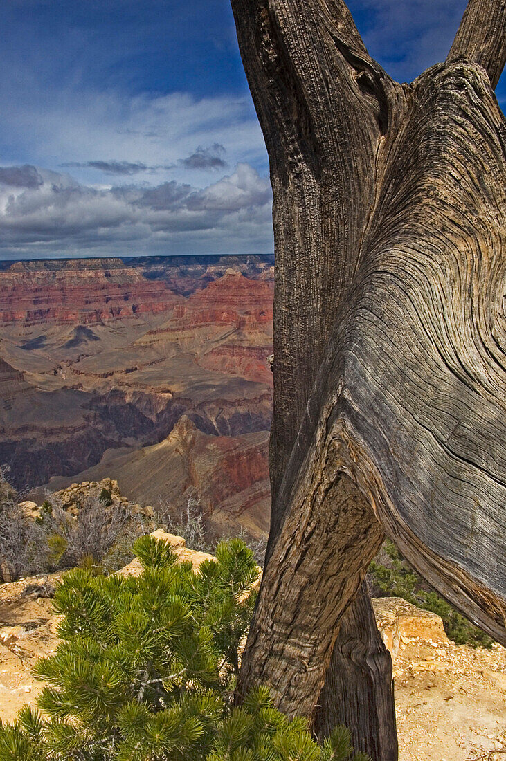 South Rim of Grand Canyon National Park, Arizona, USA