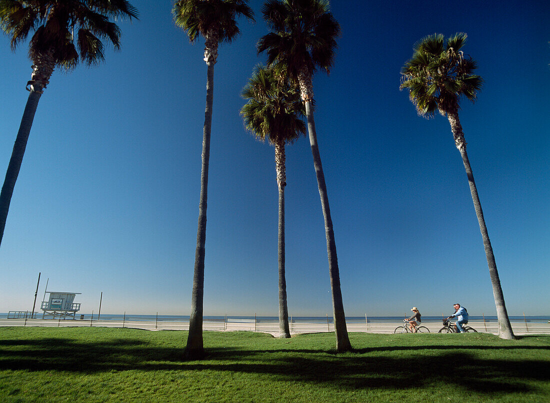 People cycling down path between Santa Monica and Venice Beach, Los Angeles, California