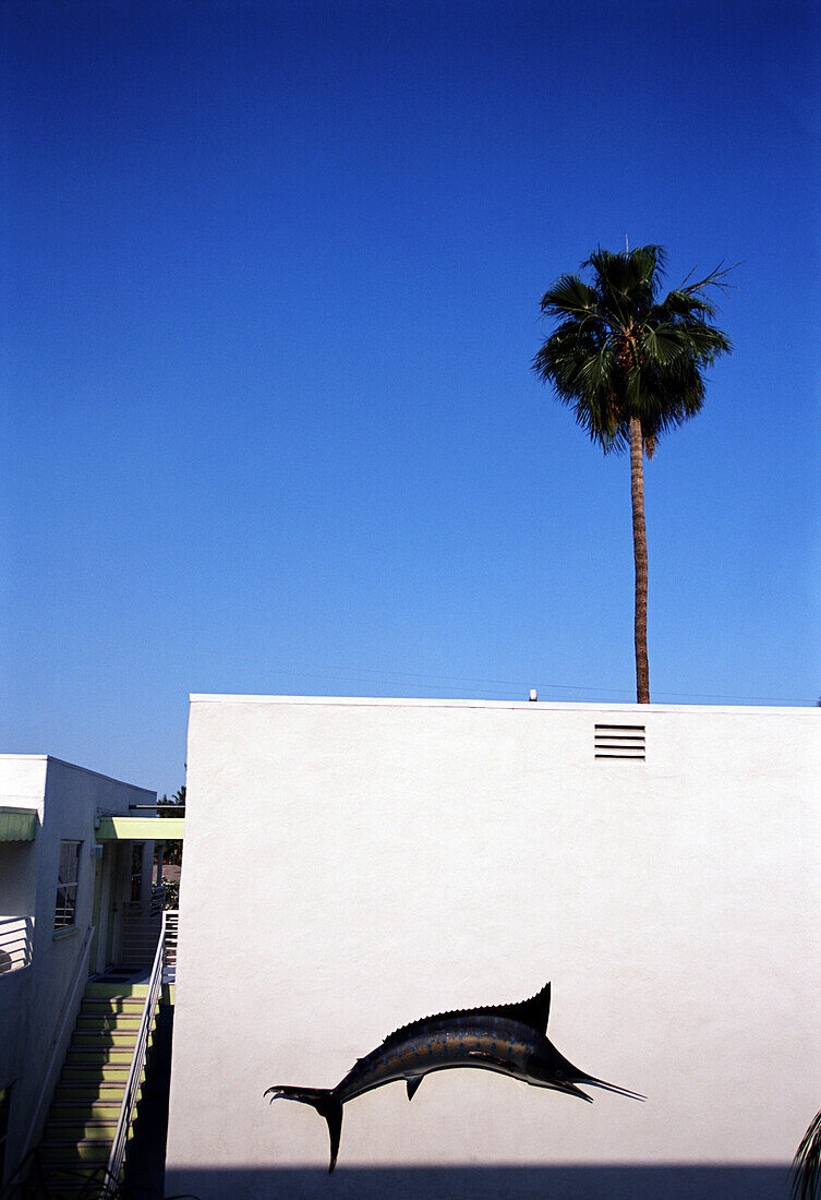 Swordfish mural on a pink building with palm tree, Palm Springs, California
