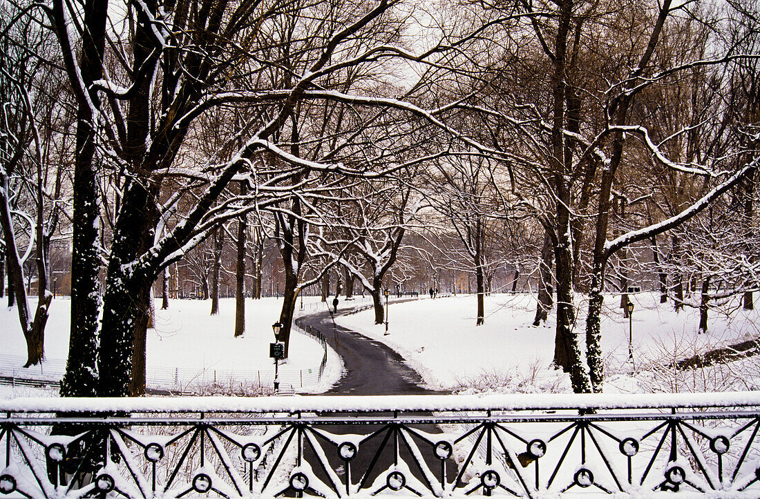 Snow in Central Park, New York City, New York, USA