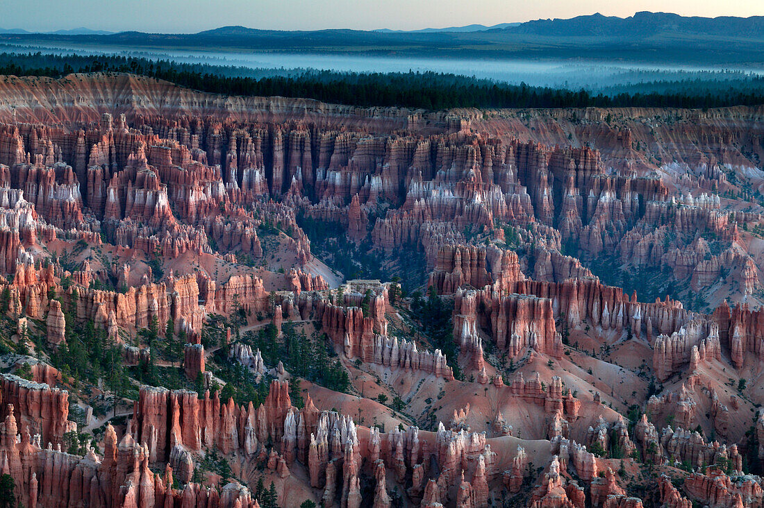 Morning view of the Hoodoos from Inspiration Point at Bryce Canyon, Bryce Canyon, Utah, USA