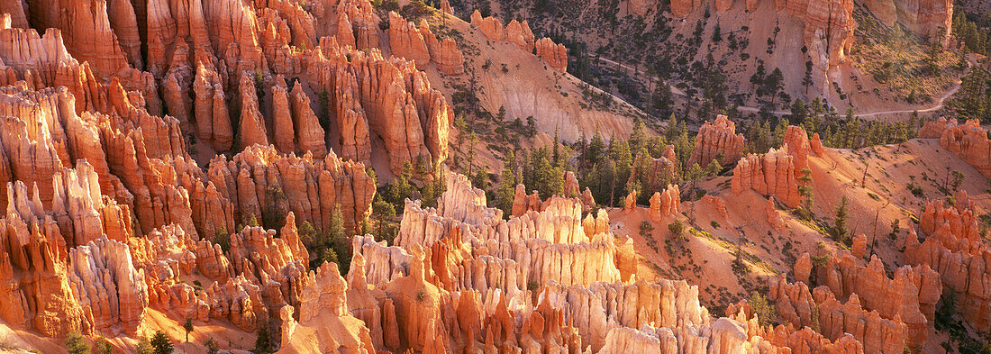 Orange rock formations and trees at Bryce Canyon, Utah, United States