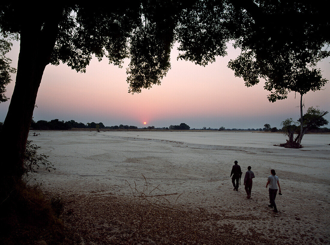 People on walking safari across dry river bed at dusk, South Luangwa National Park, Zambia