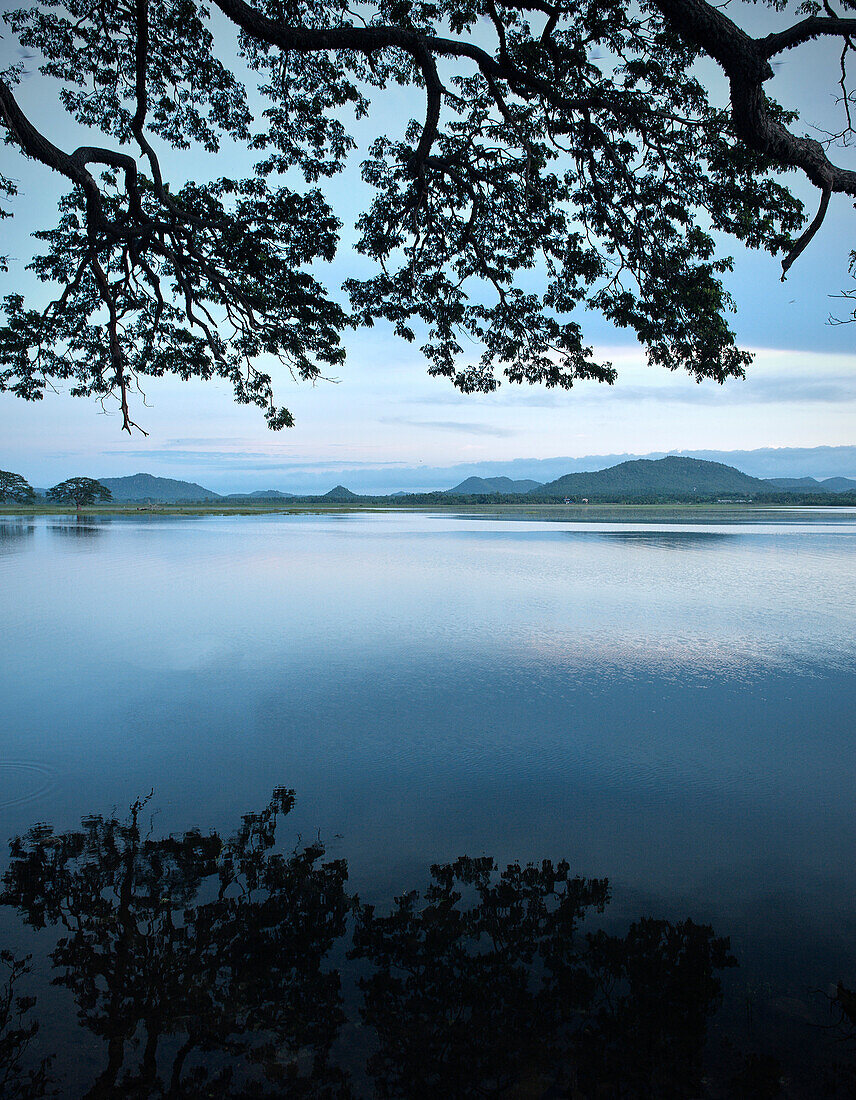 Stausee Tissa Wewa Morgenstimmung, Tissamaharama, nahe Yala Nationalpark, Sri Lanka