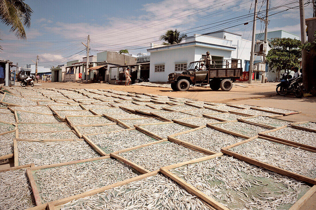 Sardellen werden auf Straße in der Sonne getrocknet, Produktion Fisch Sauce, Mui Ne, Binh Thuan, Vietnam