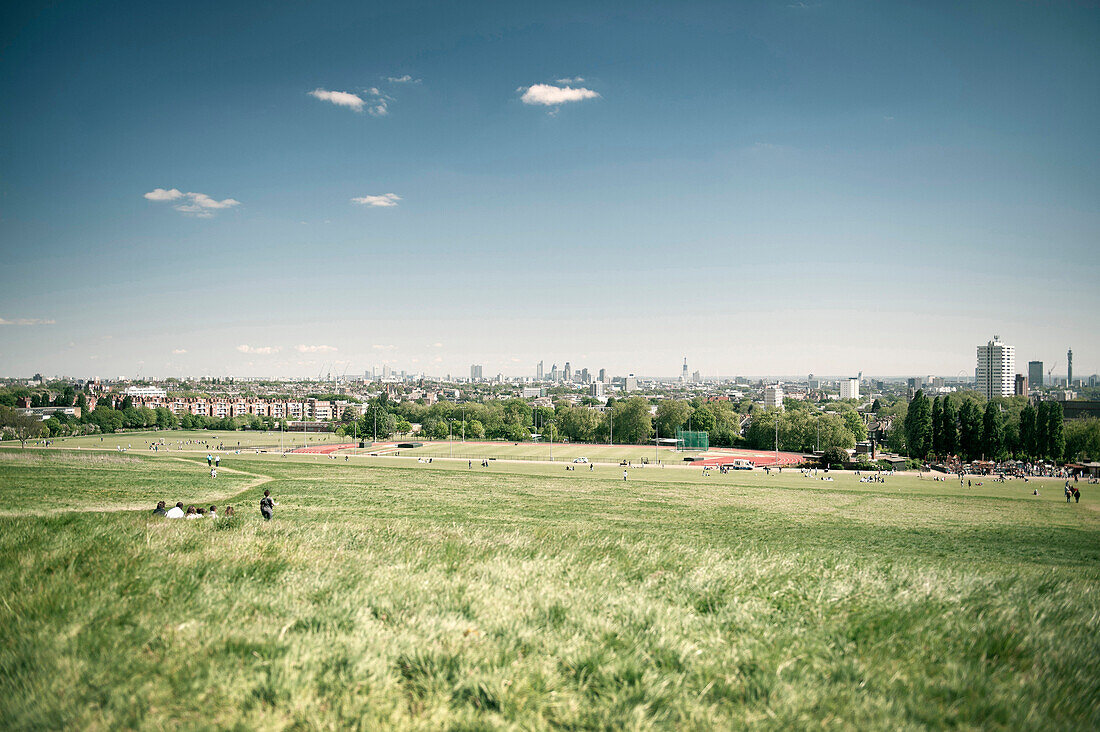 Skyline of London seen from a park, City of London, England, UK