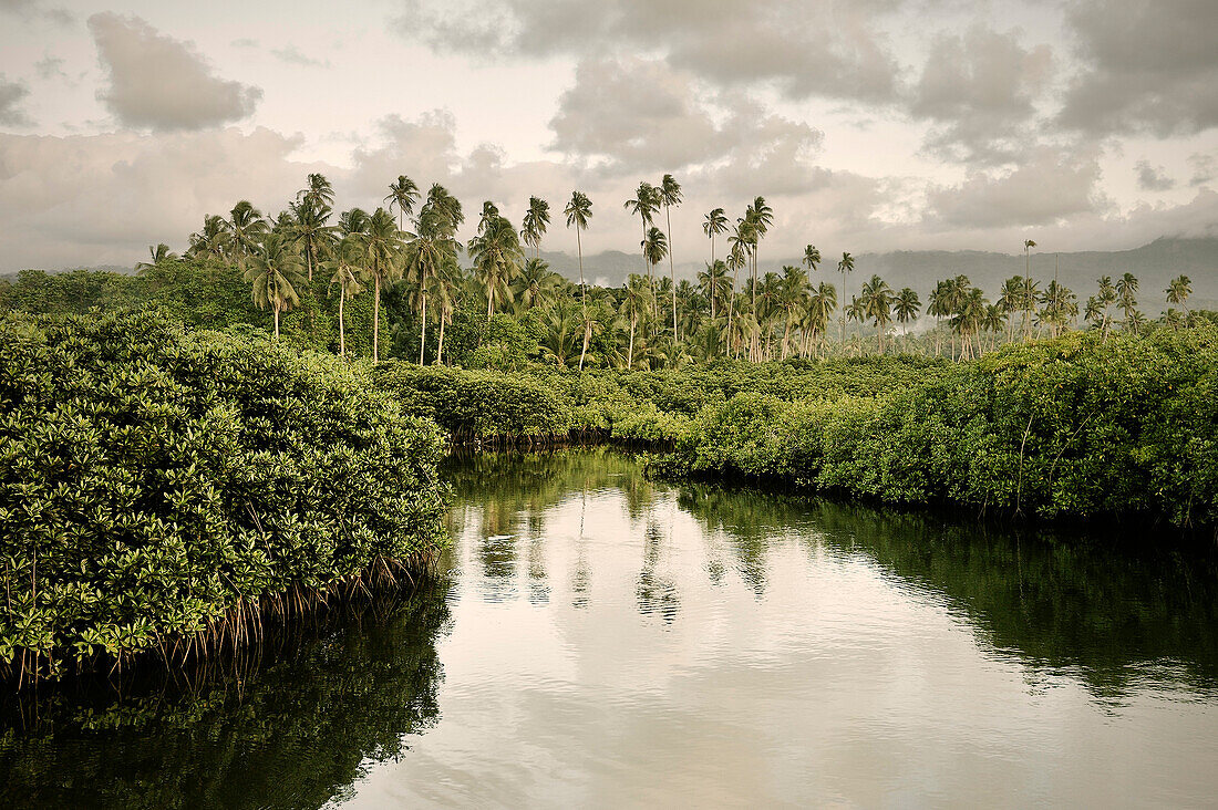 River at interior surrounded by palm trees and mountains, around Apia, Upolu, Samoa, Southern Pacific island