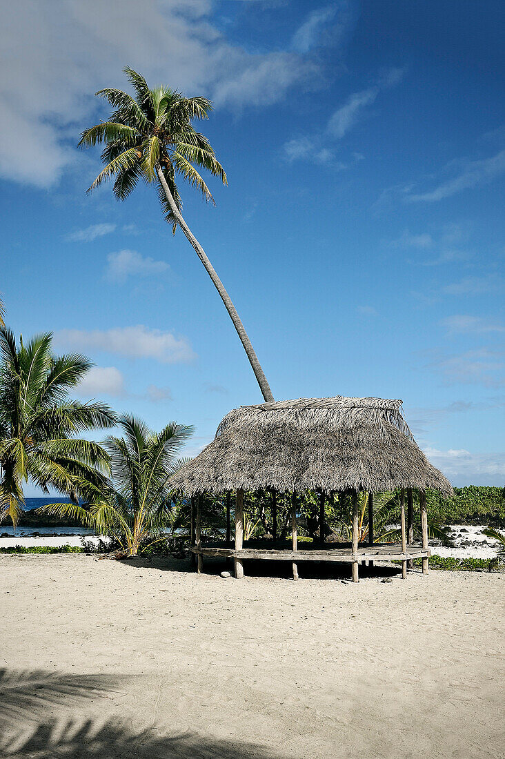 beach Fale, typical samoan accomodation without walls, Savaii, Samoa, Southern Pacific island