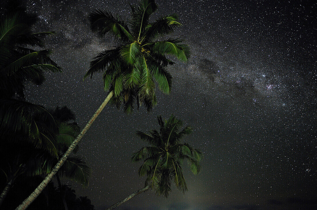 milky way and stars above palm trees, Return to Paradise Beach, Upolu, Samoa, Southern Pacific