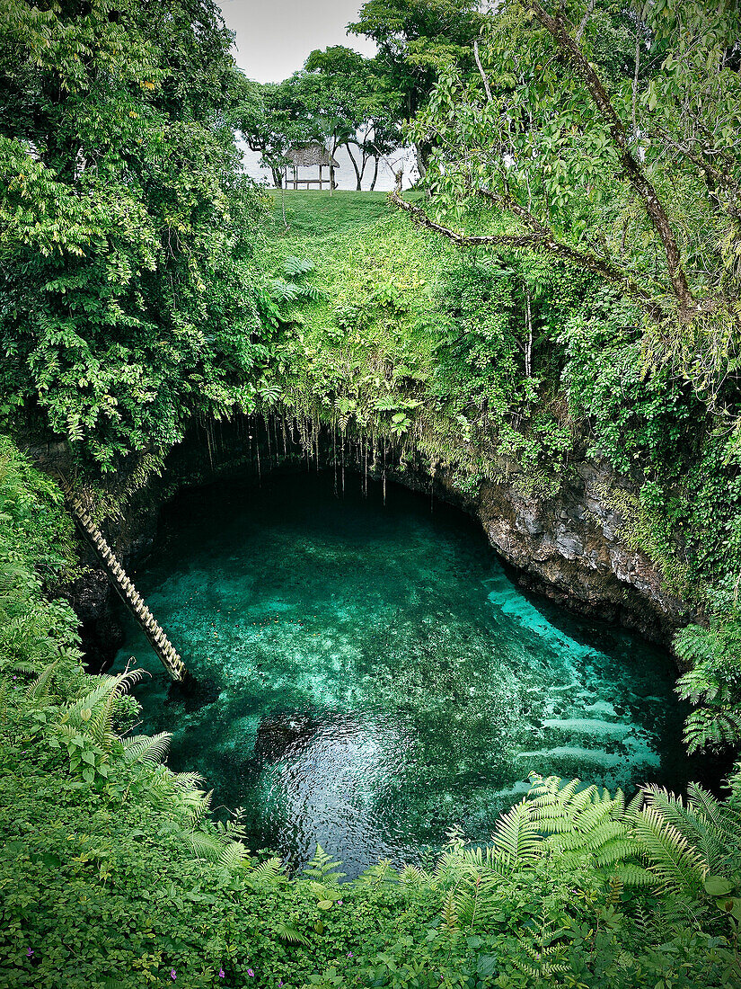 Fale und Leiter zum To Sua Ocean Trench, Lagune und Meer, Lotofaga, Upolu, Samoa, Südsee