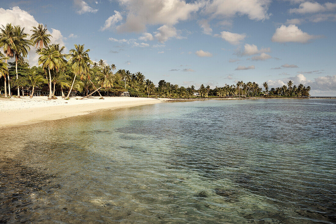 Reef and sandy beach with palm trees, Return to Paradise Beach, Upolu, Samoa, Southern Pacific