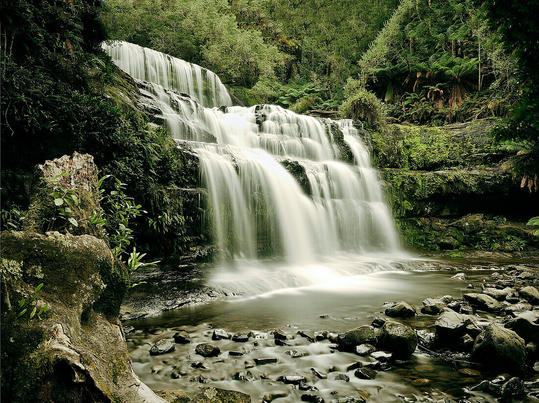 Wasserfall, Liffey Falls Nationalpark, Tasmanien, Australien