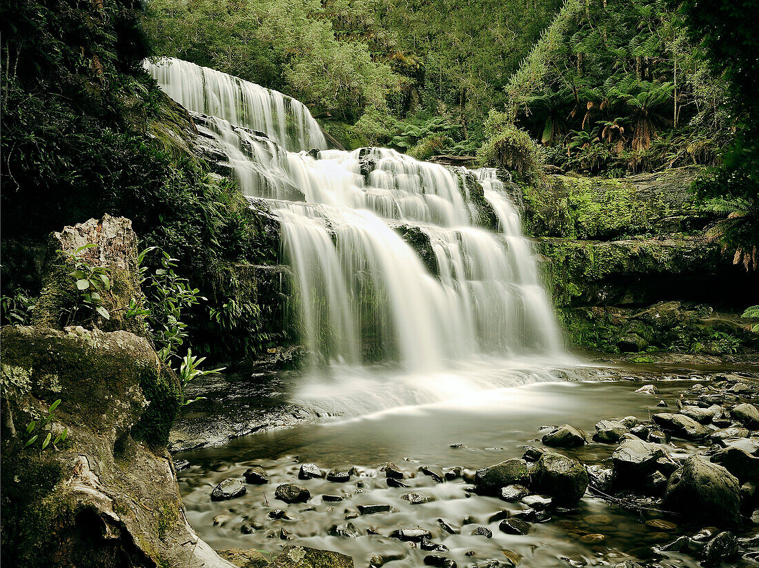 Waterfall, Liffey Falls National Park, Tasmania, Australia