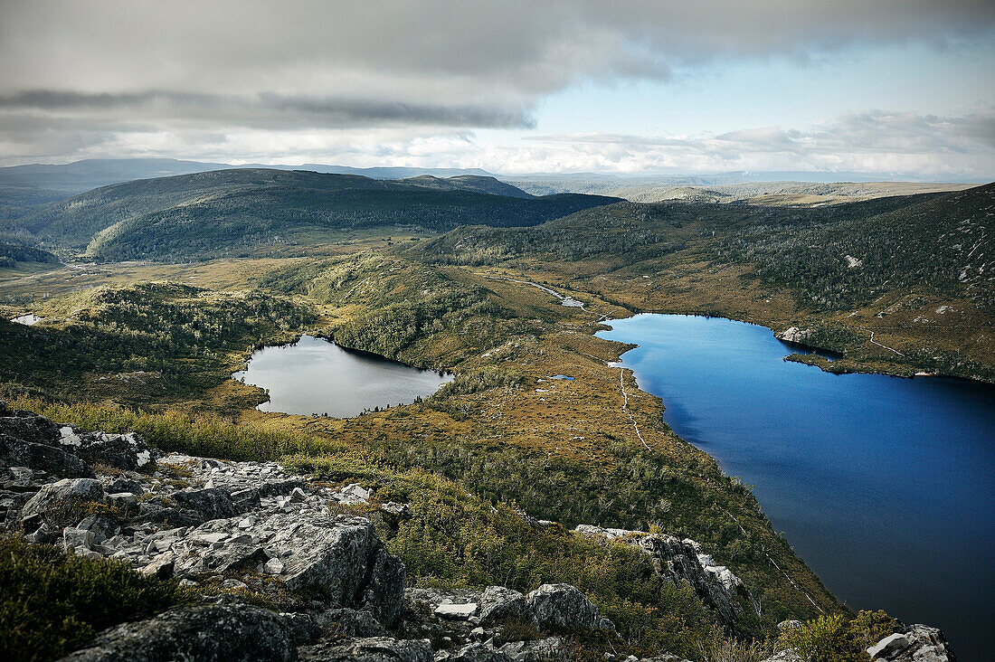 Ausblick vom Marions lookout auf tasmanische Wildnis und Dove Lake, See, Overland Track, Cradle Mountain Lake St Clair Nationalpark, Tasmanien, Australien