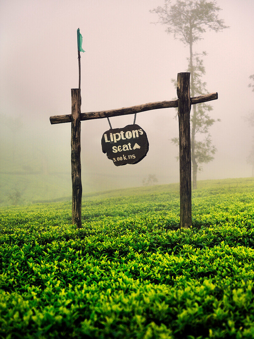 Sign points way to Sir Lipton's Seat at a tea estate, Haputale, Hill Country Sri Lanka